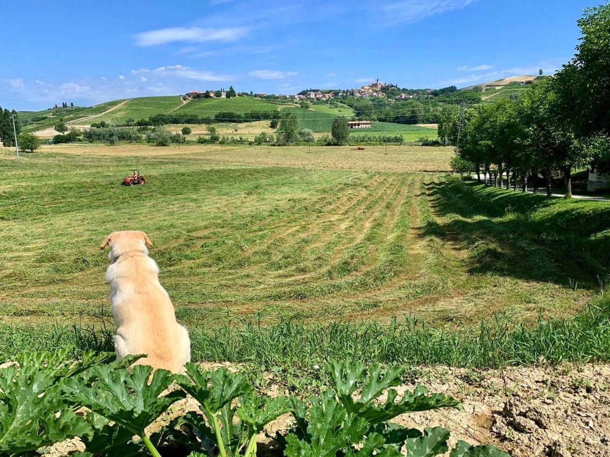 Agriturismo La Mussia Castelnuovo  Екстер'єр фото