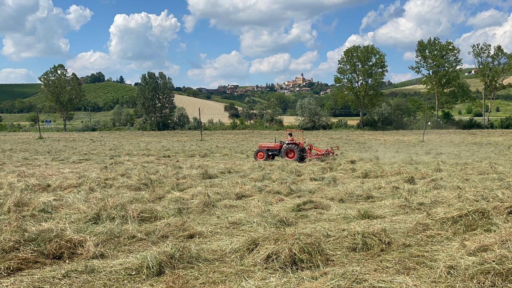 Agriturismo La Mussia Castelnuovo  Екстер'єр фото